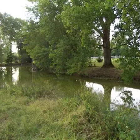 Le Platane Bed & Breakfast 3*