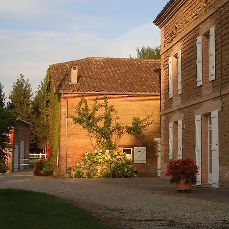 Le Platane Lafrançaise