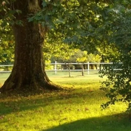 Bed & Breakfast Le Platane 3*