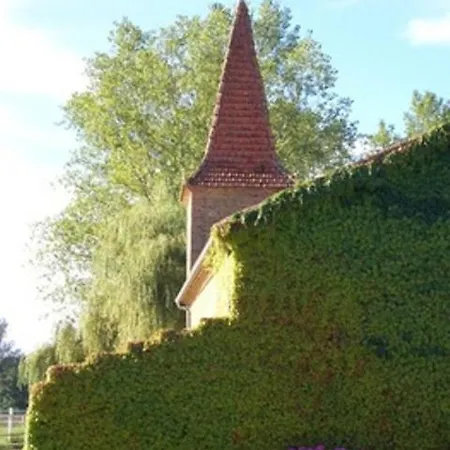 Panzió Le Platane 3*