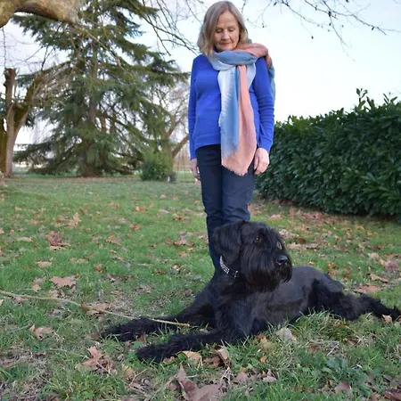 Le Platane 3* Lafrancaise