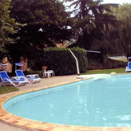 Le Platane