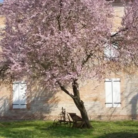 Le Platane 3* Lafrançaise