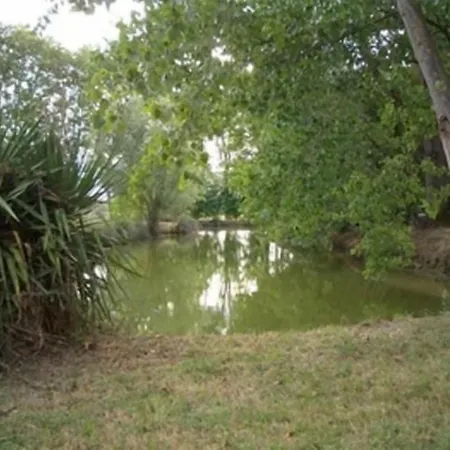 Le Platane 3*