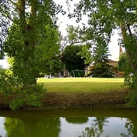 Le Platane 3*