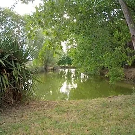 Le Platane Lafrançaise