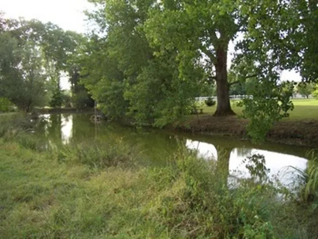 Le Platane Frühstückspension 3*