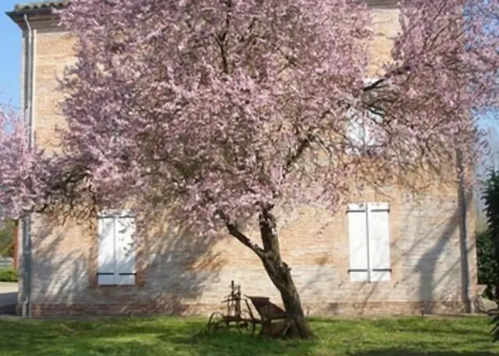 Le Platane 3* Lafrançaise