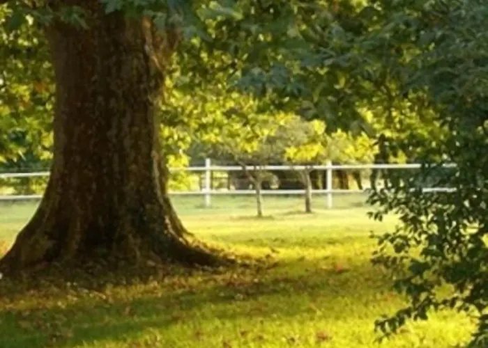 Frühstückspension Le Platane 3*